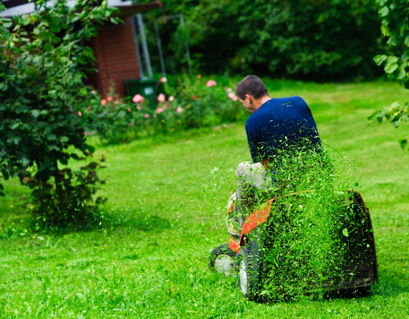 Ride-on mowers allow you to trim lawns on a whole different scale.