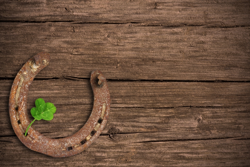 Horse shoes are an important piece of safety equipment. 