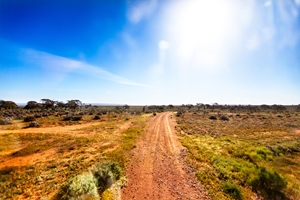 Where could a classic Australian car take you?