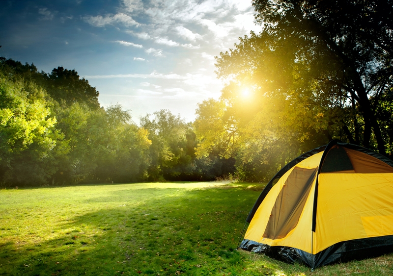 People who camp tend to lead happier and healthier lives than non-campers.