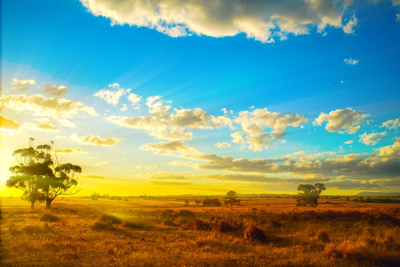 What are you going to run into motorbiking in the Outback?